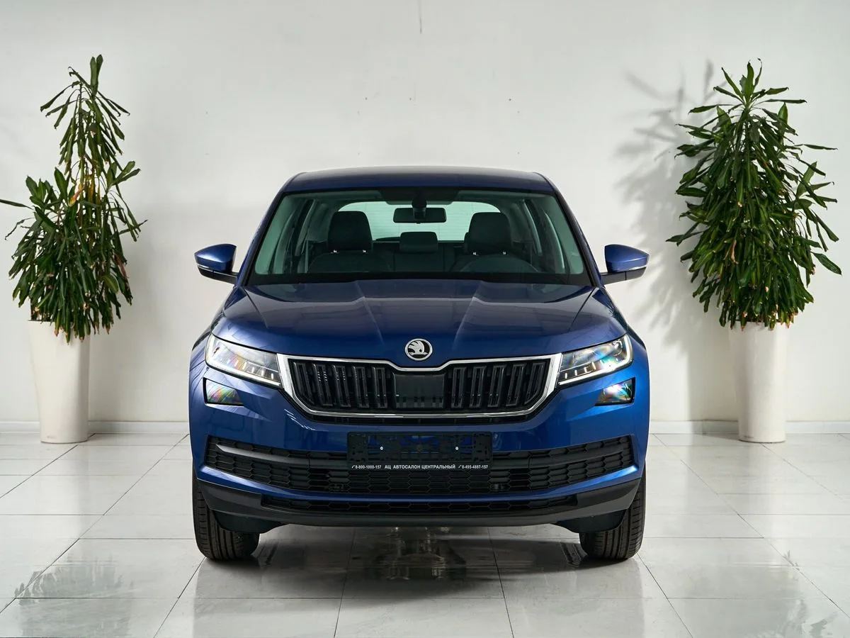 Skoda Kodiaq I · Active — фото 2