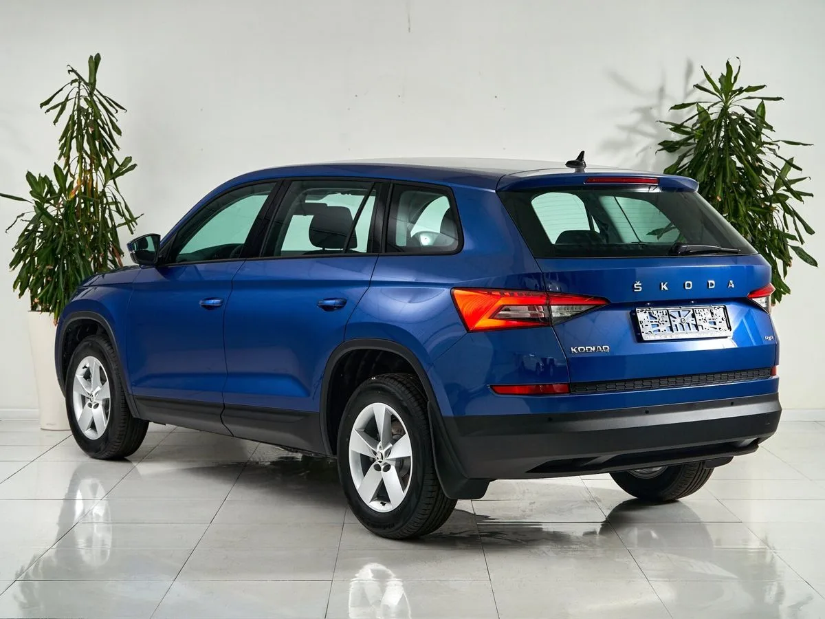 Skoda Kodiaq I · Active — фото 5