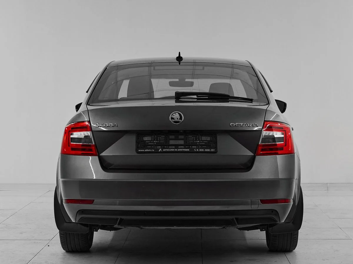 Skoda Octavia III (A7) Рестайлинг · Style — фото 5