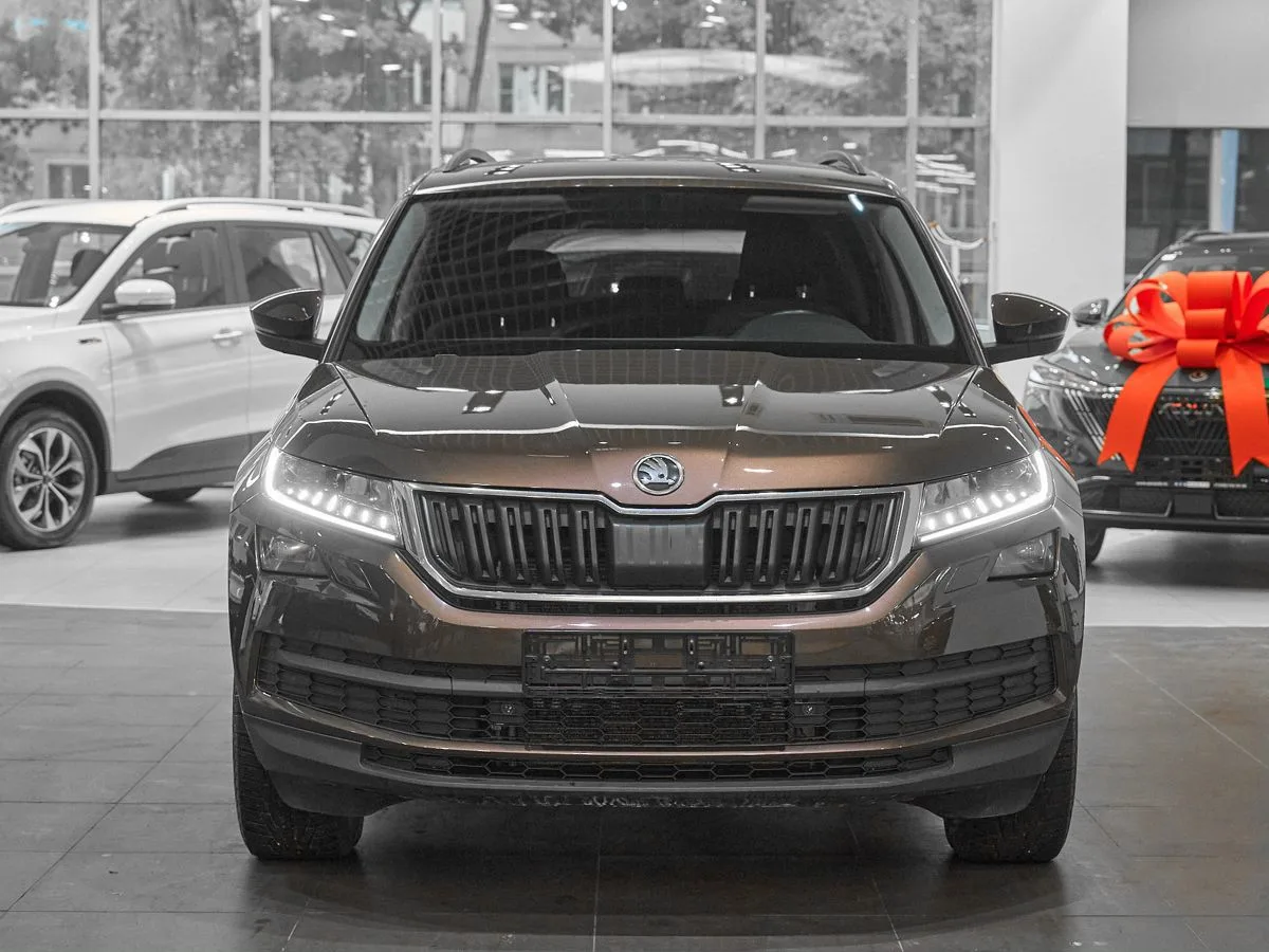 Skoda Kodiaq I · Ambition Plus — фото 2