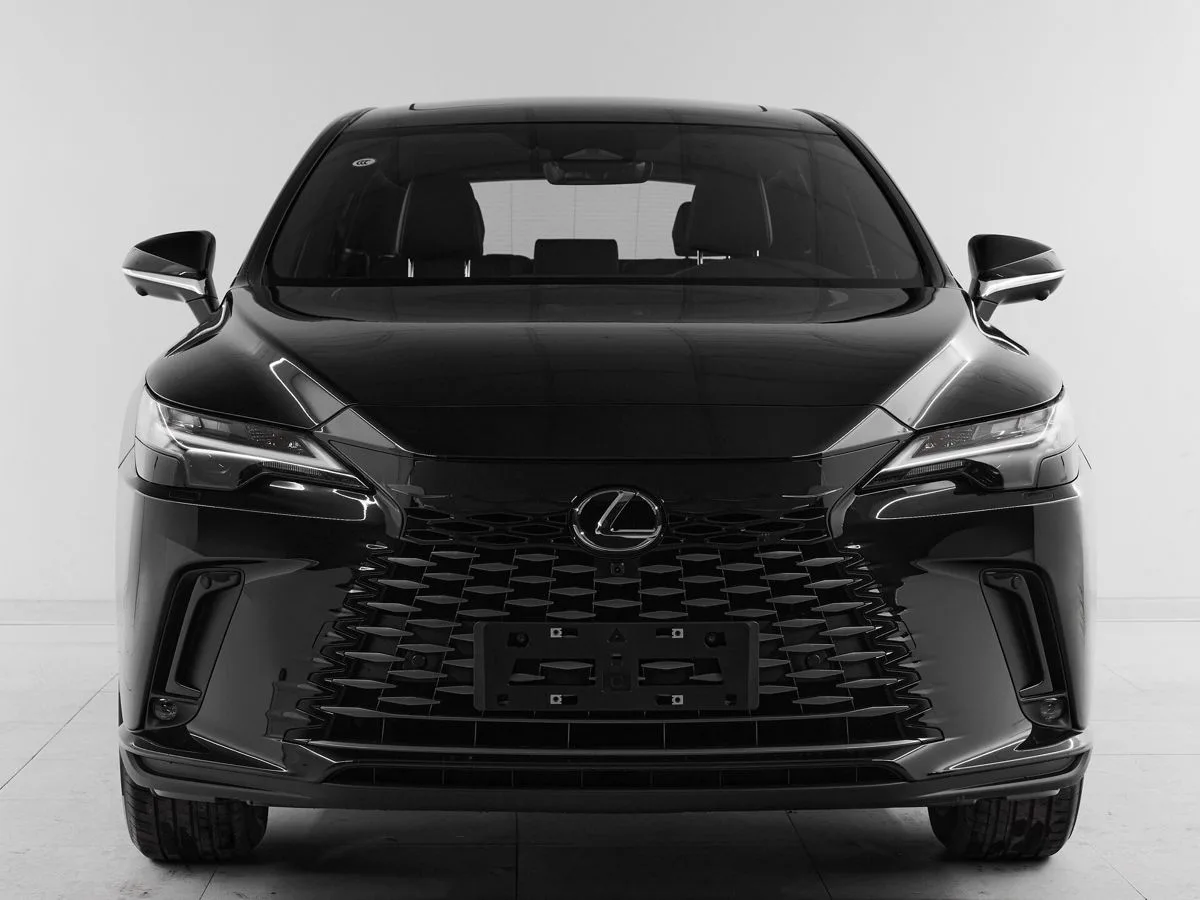 Lexus RX V · Enjoy — фото 2
