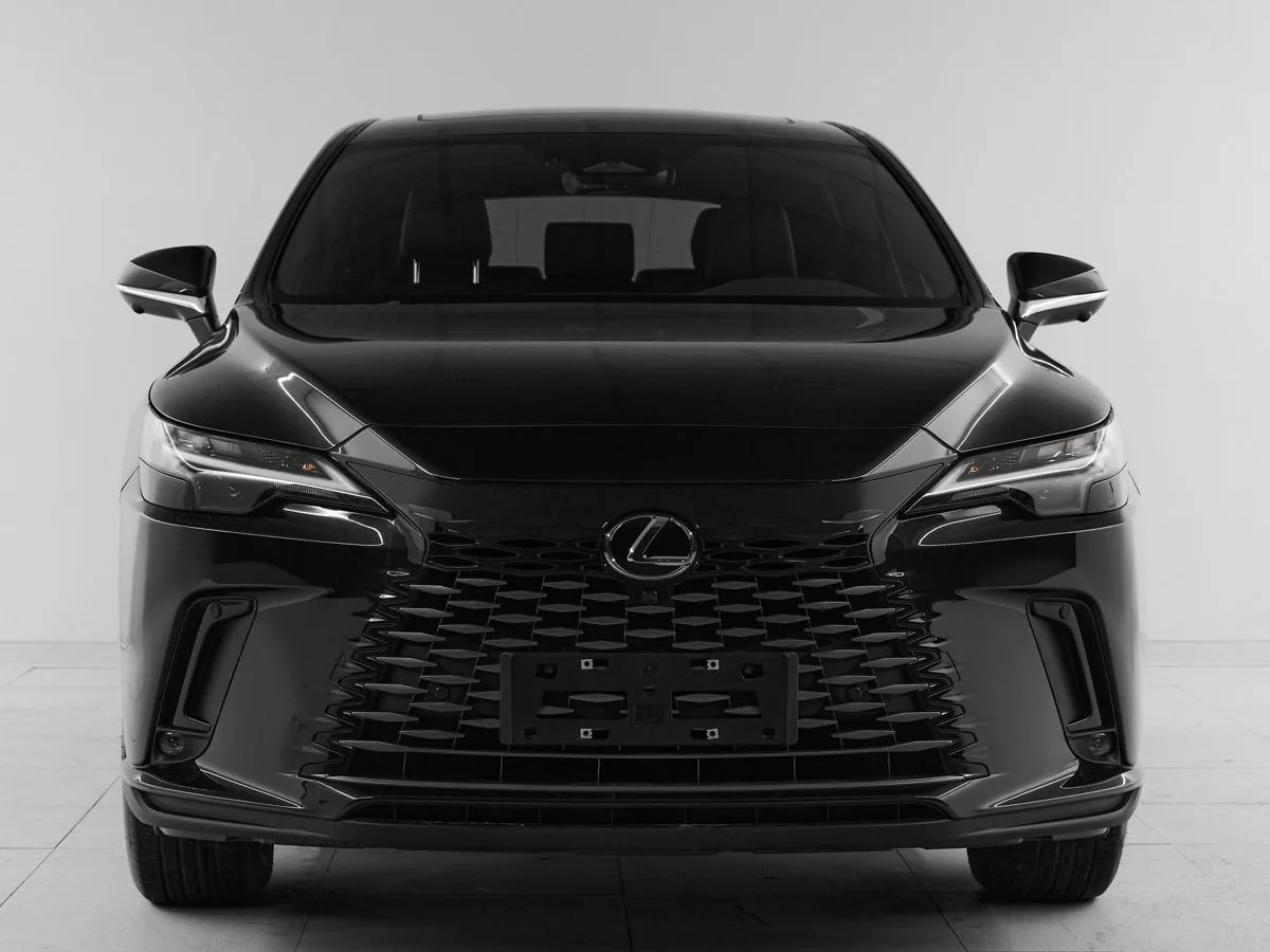 Lexus RX V · Enjoy — фото 2