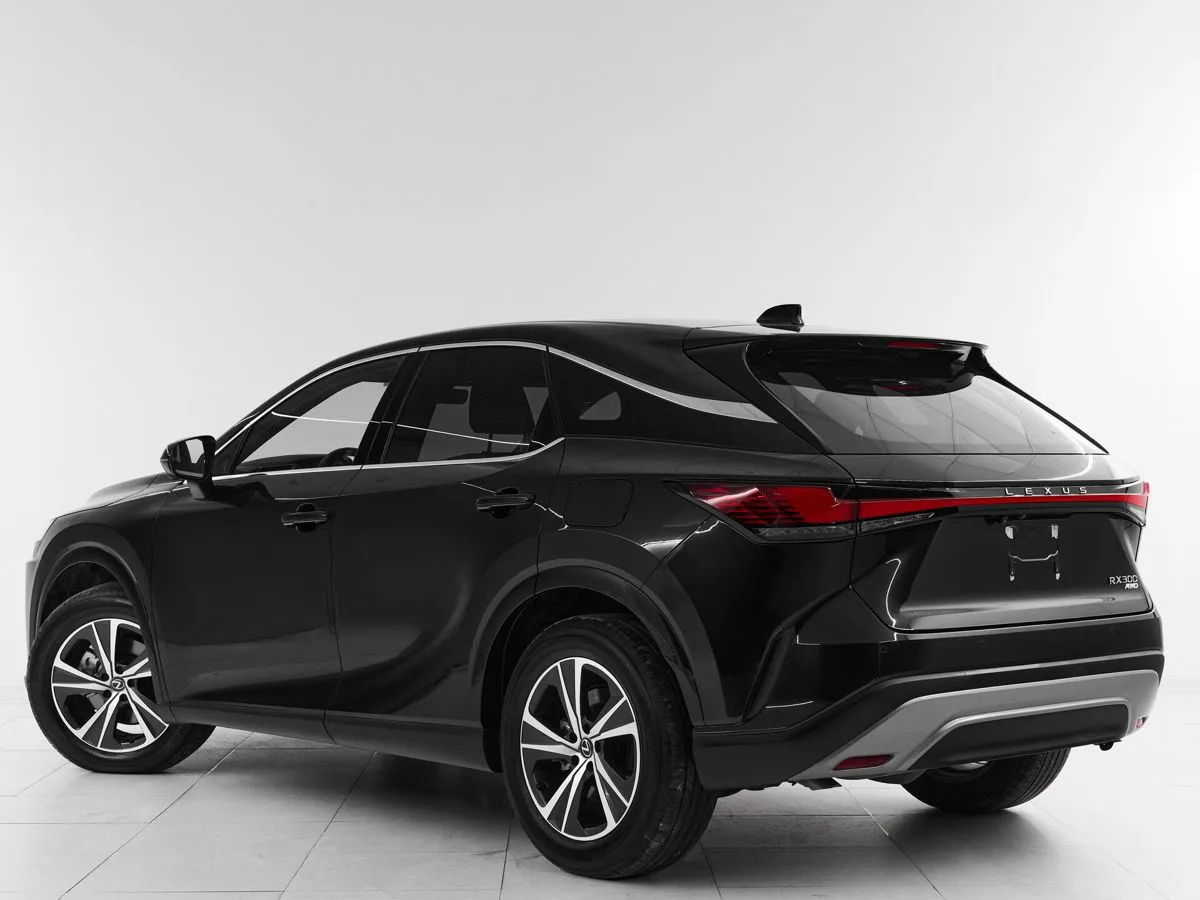 Lexus RX V · Enjoy — фото 5