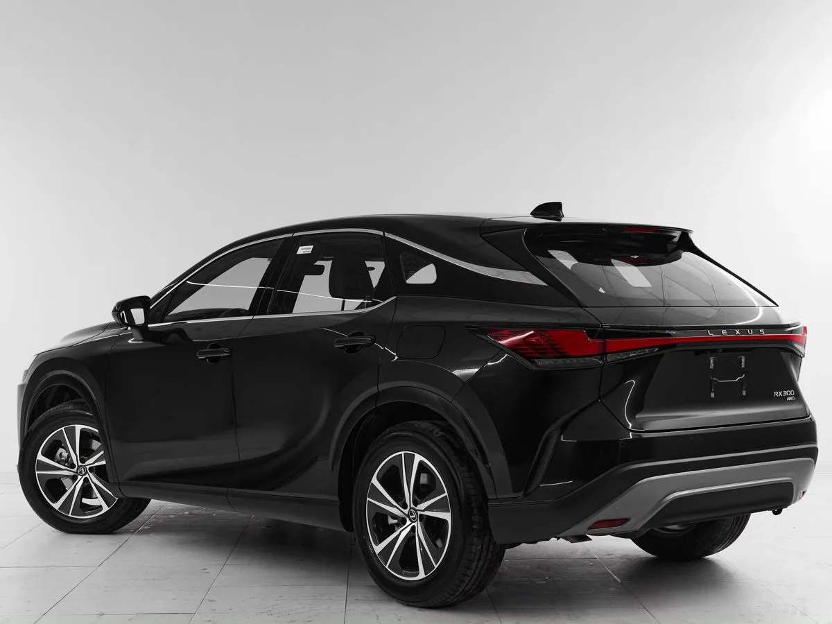 Lexus RX V · Enjoy — фото 4