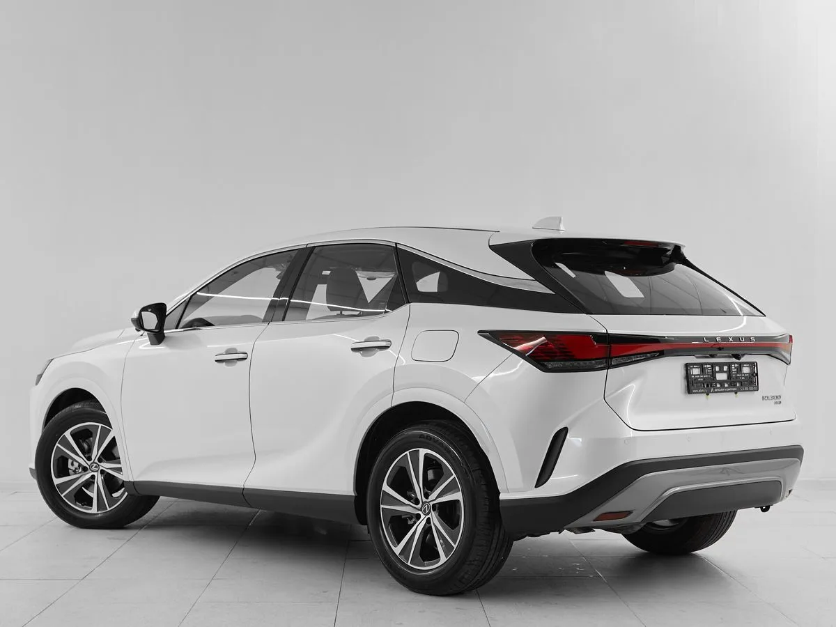 Lexus RX V · Enjoy — фото 4