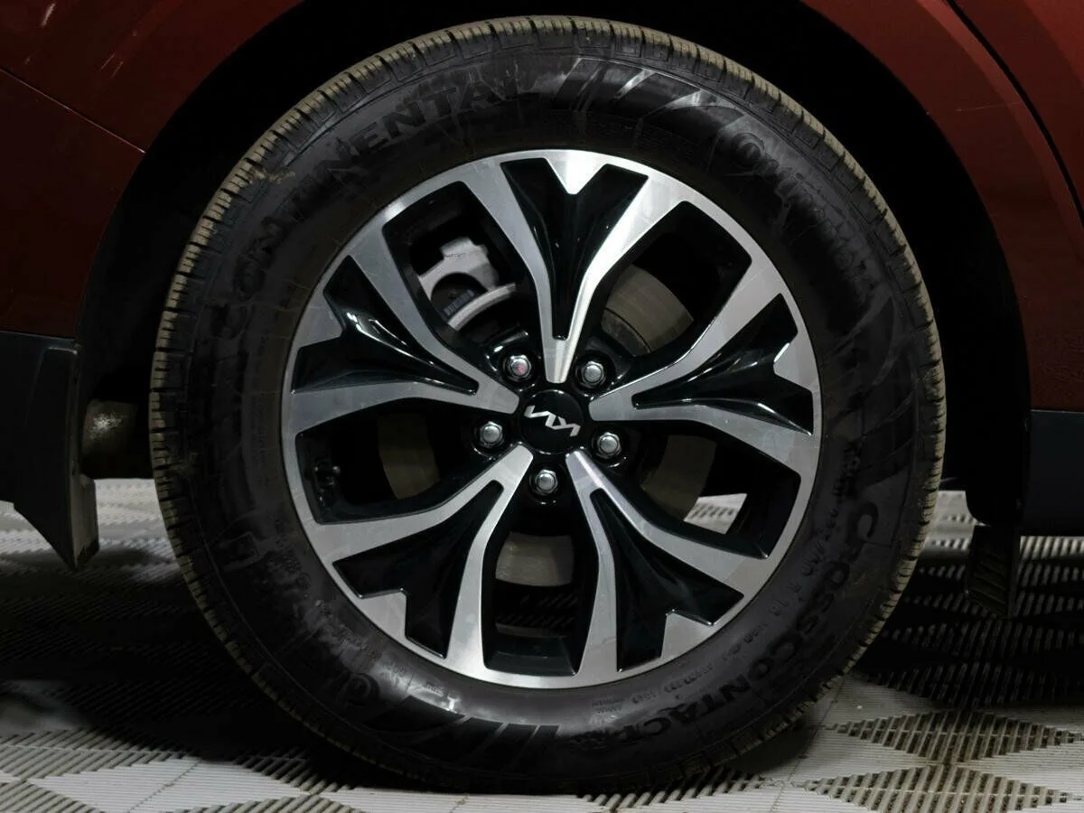 Kia Carnival IV · Premium+ — фото 5