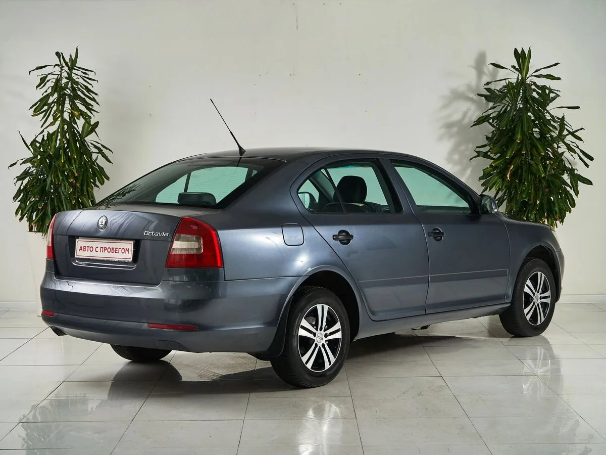 Skoda Octavia II (A5) Рестайлинг · Ambition — фото 5