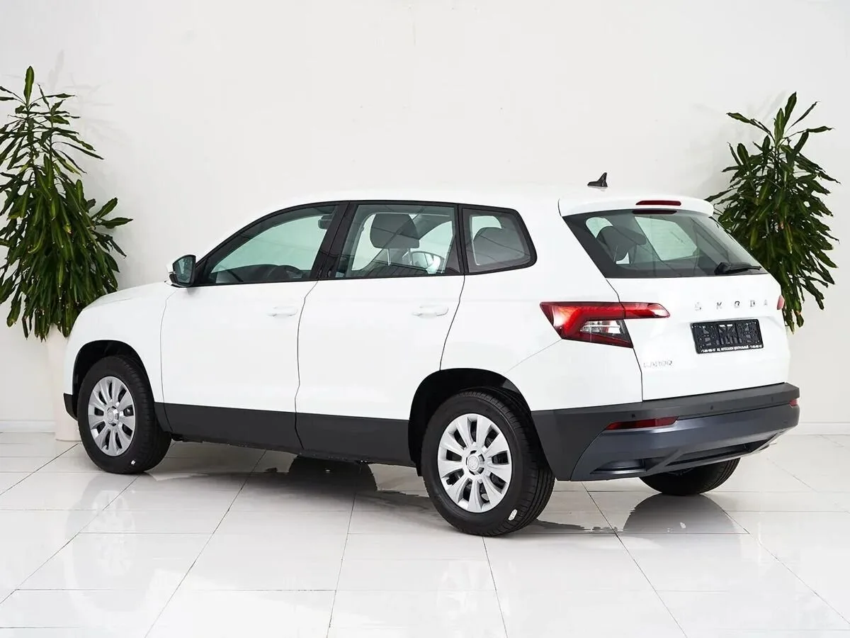 Skoda Karoq I · Ambition — фото 4