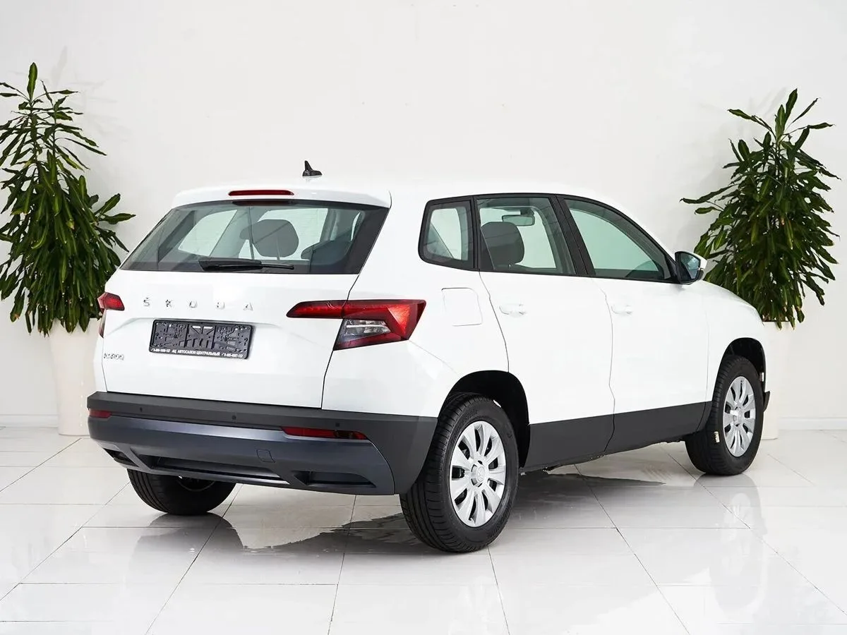 Skoda Karoq I · Ambition — фото 5