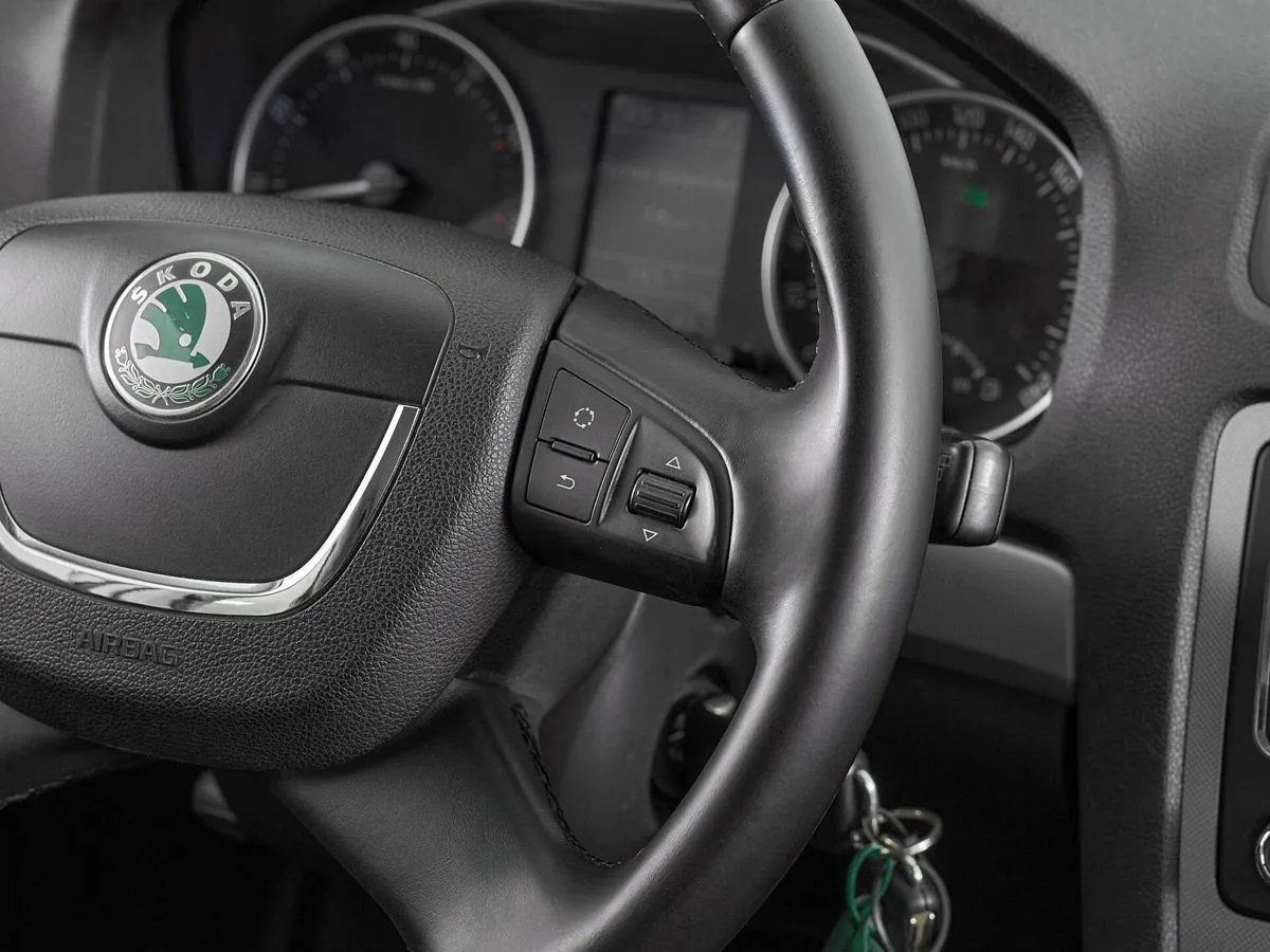 Skoda Octavia II (A5) Рестайлинг · Elegance — фото 4